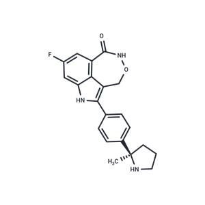 Lerzeparib