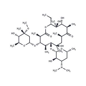 Erythromycin