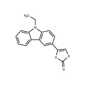 photoCORM-2