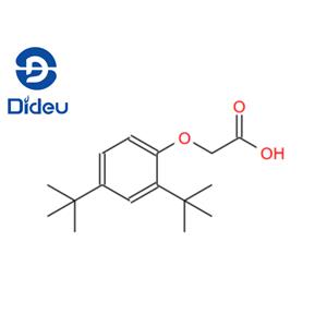 2-[2,4-Di(tert-butyl)phenoxy]acetic acid