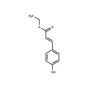 p-Coumaric Acid Ethyl Ester