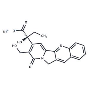 Sodium Camptothecin