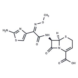 Ceftizoxime