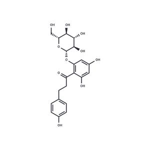 Phlorizin