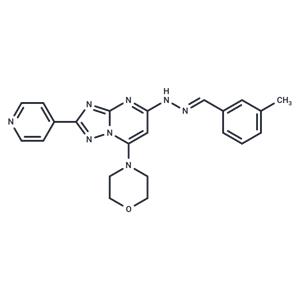 PIKfyve-IN-2