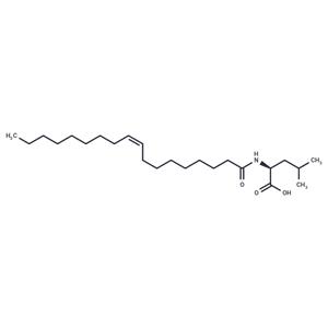 N-Oleoyl Leucine