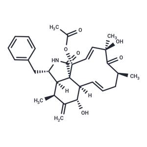 Cytochalasin D