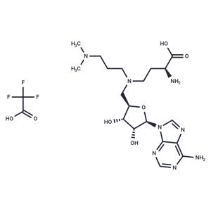 GSK2807 Trifluoroacetate