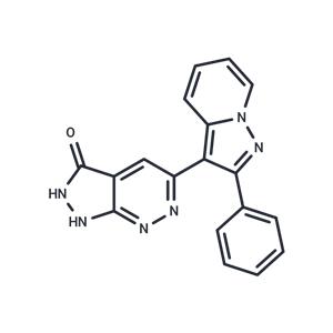 ERK Inhibitor II (Negative control)