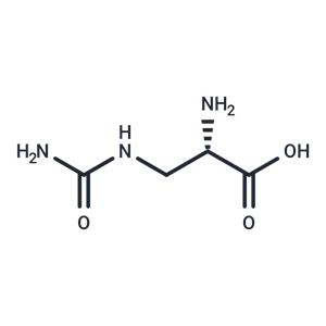 L-Albizziin