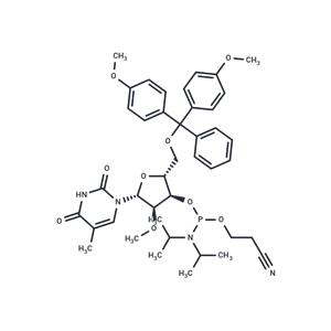 2'-O-Methyl-5-methyl-U CEP