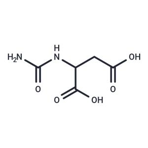 N-?Carbamoyl-?DL-?aspartic acid