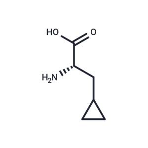 (S)-2-Amino-3-cyclopropylpropanoic acid