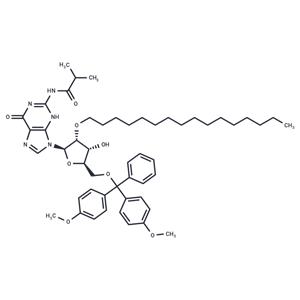 N2-iBu-5’-O-DMTr-2’-O-hexadecanyl guanosine