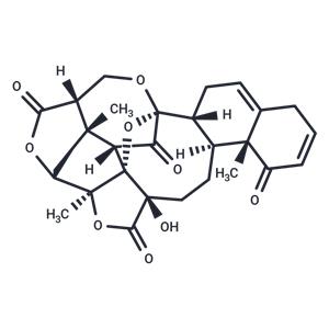 Physalin B