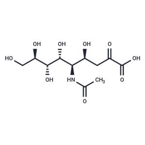 N-Acetylneuraminic acid