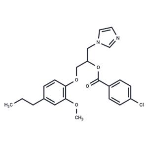 Antifungal agent 70