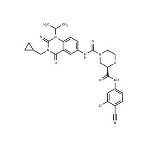 RORγt Inverse agonist 6