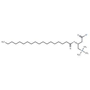 Stearoylcarnitine