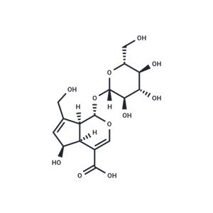 Deacetylasperulosidic Acid