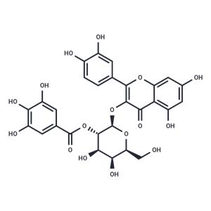 2"-O-Galloylhyperin