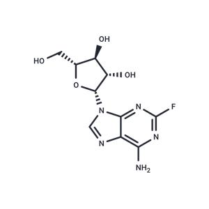 Fludarabine