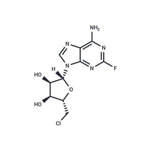 Fludarabine-Cl