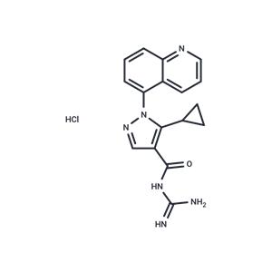 Zoniporide hydrochloride