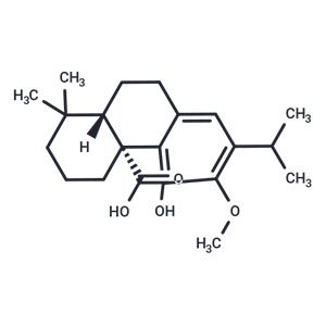 12-O-Methylcarnosic acid