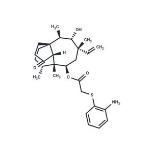 Antibacterial agent 104