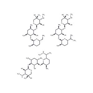 Gentamicin