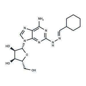 Binodenoson