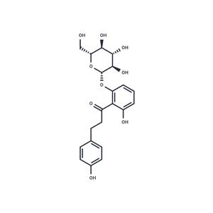 4&prime;-Deoxyphlorizin