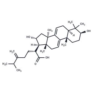 Dehydrotumulosic acid