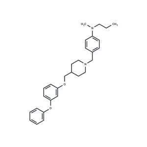 MenA-IN-1