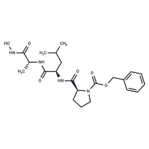 Z-PDLDA-NHOH