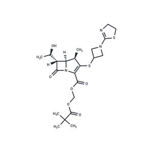 Tebipenem Pivoxil