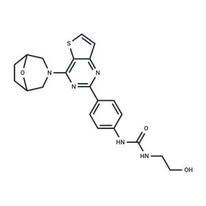 mTOR inhibitor 9d