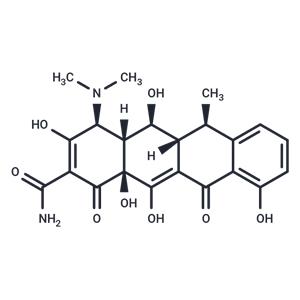 Doxycycline