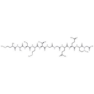 T7 Tag Peptide