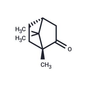 (+)-Camphor