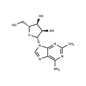 2-Methyladenosine