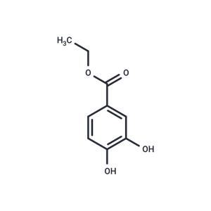 Ethyl 3,4-dihydroxybenzoate