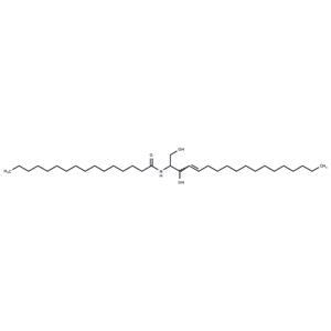 C16 Ceramide