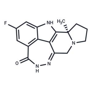 Pamiparib