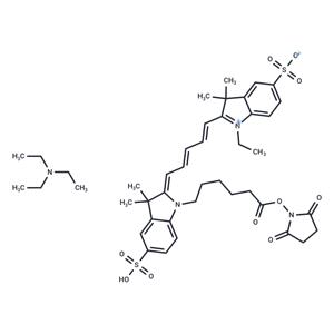 CY5-SE triethylamine salt