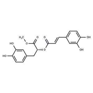 Methyl rosmarinate