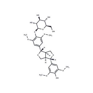 Acanthoside B