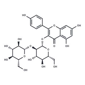 Kaempferol 3-O-sophoroside