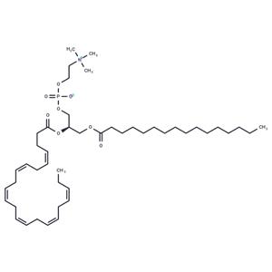 Palmitoyldocosahexaenoyl phosphatidylcholine